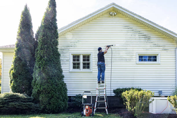 Best Roof Cleaning and Mildew Removal in New Holstein, WI